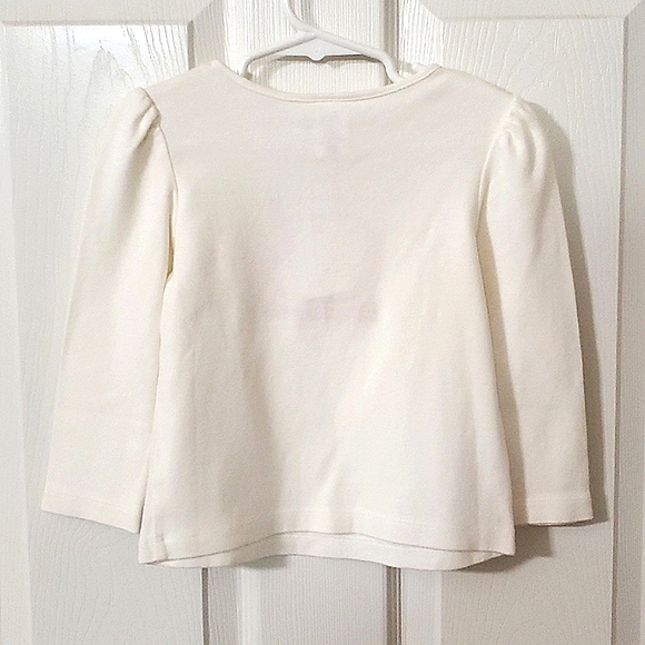 NWT New Gymboree Lil' Pumpkin Long Sleeve Top Toddler Girls Size 2T - Picture 3 of 6